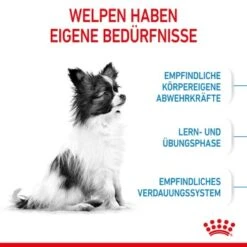 ROYAL CANIN X-Small Puppy 1,5 Kg 17 ROYAL CANIN X-Small Puppy 1,5 Kg -Ruffweal Verkaufe 9d4f8dbad884a89da73946d7e25fddf62d5e5564 3182550793636 3