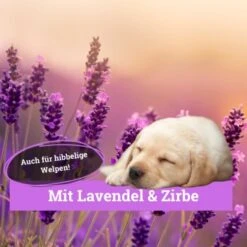 BeG Buddy Körbchen Spray Beruhigung Stress 8 BeG Buddy Körbchen Spray Beruhigung Stress -Ruffweal Verkaufe 9d7bd8e422fc117daaa45f2eadc4e2e342f5d199 1669471 de DE 146feb38dd17e6baa3c59778f26e903482106de9cso8xz