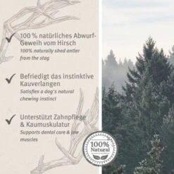 Aniforte Hochland Hirschgeweih Large -Ruffweal Verkaufe 9dcf0f27be6849c765e8a9e12cd266dd1588a12d 1656976 de DE ac8dd6a0786bd0be0560fc7bc4de242434c219127XG5KZ