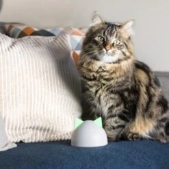 SureFlap Sure Petcare Hub -Ruffweal Verkaufe 9f5bfec8de043f4a92cd1437f562ae1683a10820 46ac2e41b6bc8ea03ea15881bcebd38d8c7bf830