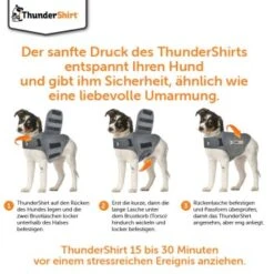Thundershirt Beruhigungsweste Grau XS 15 Thundershirt Beruhigungsweste Grau XS -Ruffweal Verkaufe 9ff088bccc5f7d02926fc2c1845a1030d5e07bc3 1102942 5