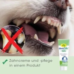 DentaVet Gel 35g 10 DentaVet Gel 35g -Ruffweal Verkaufe a0d4d3bd9437af6bafea1b3b7a3c5a28814220c7 1249039 de DE 4ce29d2ba67554731965330067a7d46dd701a488pV84j2