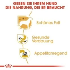 ROYAL CANIN Chihuahua Adult 12x85g -Ruffweal Verkaufe a1212bd4c85597fb805a0f74a8bc83dd87efc699 1239183 de DE rc