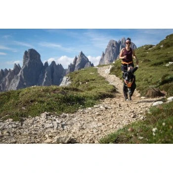 Ruffwear Omnijore™ Joring System L-XL 11 Ruffwear Omnijore™ Joring System L-XL – Bild 11