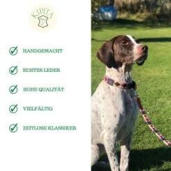 Kipita Polo Hundeleine Rainbow -Ruffweal Verkaufe a2c75ce377ad0bdc620fae8249de4744cf0eee28 1410921 de DE 6f891659a2f595d1b30e918fefe4ff5811ec8a16AyAJ3g