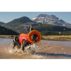Ruffwear Hydro Plane™ Spielzeug M Orange -Ruffweal Verkaufe a3976cd8510df92d7b86f42c35fd984bc0313421 1364300 de DE 7e1ea9adae25d55e79a8aed2cc6dc797ac8d0d03R1qvUL