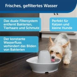 PetSafe Trinkbrunnen Streamside -Ruffweal Verkaufe a4863bb01c9defc206f3abadb7407b11767619bd 1423698 de DE d7c376710365041814bb26a7ca9d55a6a9011fd8Nm0GoI