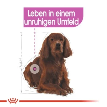 ROYAL CANIN Relax Care Medium 10 Kg 7 ROYAL CANIN Relax Care Medium 10 Kg – Bild 7