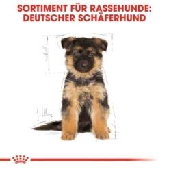 ROYAL CANIN German Shepherd Puppy 12 Kg -Ruffweal Verkaufe a6ed0d212b31f716e951be43160e14dc1fcf1361 828f54e1844421c8d74031b31ca63b9e59d8c1ae
