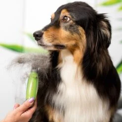 Moser Unterwollrechen 5 Moser Unterwollrechen -Ruffweal Verkaufe a9457afef8cc9854b1cc05428060e6aca1aa62d7 f209ef3f70da272484eca7394d5156f09925de7d