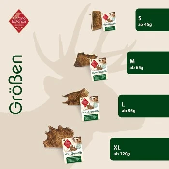 ChronoBalance Kaugeweih Damhirsch (L) 2er Paket 4 ChronoBalance Kaugeweih Damhirsch (L) 2er Paket – Bild 4