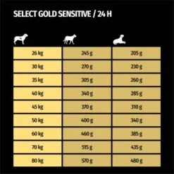 SELECT GOLD Sensitive Senior Maxi Lamm & Reis 4 Kg -Ruffweal Verkaufe aa78ff5876e7610406354855bc1742a79f0eb6d9 1001718008 de DE 7