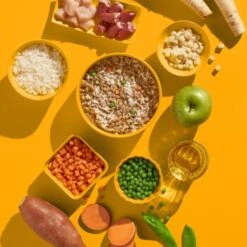 Fred & Felia FRED 10x390g JUNIOR Huhn Mit Reis -Ruffweal Verkaufe aab9134917d3084d8373a0bd2d93ee07bed7ec97 1422068 de DE e6a828c782f8e596bfacddaff55a6cca79947cfbSCu2nP