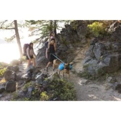 Ruffwear Approach™ Hunderucksack Blau M -Ruffweal Verkaufe adb6fe53f35c002880a11fdf955223282473e71e 1639823 de DE d58a64010d5b9dcf26c55b9da34cfb41fef50ac2cwioux