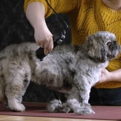 Moser Schermaschine Max 45 Inkl. ASK -Ruffweal Verkaufe b0d4eca208b1c44fde9769108a0a7feb3a3a5ad2 da57035be550c76ab9dcf7d8dbc15959d076f3f0