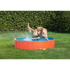 FIT+FUN Pool S -Ruffweal Verkaufe b1cb34c1bb87f494acad835c3466dcf4312a1144 49528db90b739bc978efe51f63d1f6253667db9a