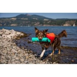 Ruffwear Lunker™ Spielzeug Blau/ Türkis -Ruffweal Verkaufe b1ff74faaf51c648517e284bc677372b2de917b1 1364294 de DE 872baa13c3c684e3cd884d6a02e37e7e22ad686cLNC7EY