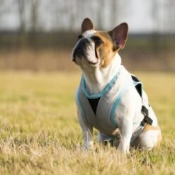 Trovet Suitical Kühlweste Dry Cool M -Ruffweal Verkaufe b32e0654ab987d26790de796cf13d2e54cbed73f 1321386 de DE Trovet suitical 6 Kopie