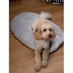 TrendPet Emma Liegekissen Grau S -Ruffweal Verkaufe b48aa1ae4cf4d68ec69ba4c37d516f74528715ee 1369472 de DE b2ffa28c3681679283b9f0b59962e0ca3348cc04HFyDSJ