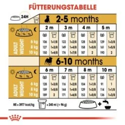 ROYAL CANIN Mops Puppy 1,5 Kg 13 ROYAL CANIN Mops Puppy 1,5 Kg -Ruffweal Verkaufe b4fde8fc0325fcebebf1f7ba77ece4a760892ed2 1142a47ae7899b973d3881a321687bd221657b17