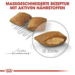 ROYAL CANIN Exigent Mini 3 Kg -Ruffweal Verkaufe b8aa1c376b27f5425488e69d0cf81a397e0a03b5 ff7040fb29ee84f9d3542289043146698d974fd8