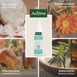 Aniforte Dentalspray Zahnpflege Spray 100ml -Ruffweal Verkaufe b8c2494df30b706b215daba4b3b66c8a0a3adb3b 1439278 de DE f771ceb2289f6e14df78bea1815642d81ce3e3cf9ASqvV