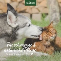 Aniforte VET Ohrenreiniger Kamille 250ml -Ruffweal Verkaufe bb72cf922fff80c2ad100a34a6028fcdc6e18ba8 1441191 de DE 04511de56e799f1986950cb040592ffe3d335883KMQ73o