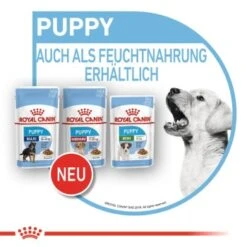 ROYAL CANIN Medium Puppy 10x140g -Ruffweal Verkaufe bc3f92646659ab6935de7e665d9d8b81c0b7c9cf 3a53132540880784da6eadc00c0e47ffd800aa3d