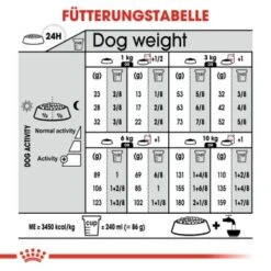 ROYAL CANIN Mini Sterilised 8 Kg 10 ROYAL CANIN Mini Sterilised 8 Kg -Ruffweal Verkaufe bca34a809063a54c7549af216e4b4ad7b785bee9 a34e6e054fd0346848438c5e8c4ae8c587a48bd1
