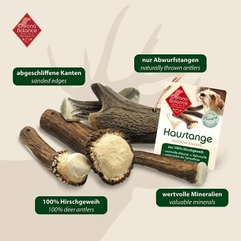ChronoBalance Geweih Halbiert (S) 2er Paket 3 ChronoBalance Geweih Halbiert (S) 2er Paket – Bild 3