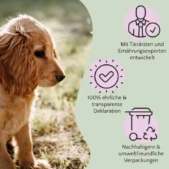 FAVLY Petfood PURE Bites Veggie 360 G -Ruffweal Verkaufe bec0cf8f032cb202461664cbfe5564f4eeab2e9b 1474000 de DE 9c441cea117e17df2d31039760b88fa0cc1eb6acALFkfB