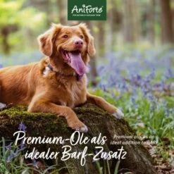 Aniforte Futteröl Premium BARF-Line 1 Liter -Ruffweal Verkaufe c11fa3ad0ee5c6826c484345380568a056b17d4e 1422212 de DE 471b9cb1eddf1a4e11196a5eee91fabdcb31b23fFEv6G3