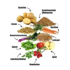 Eat Small EatSmall 3x2kg Trockenfutter Balance -Ruffweal Verkaufe c155aedb695d7674b42fb2980e052feb1074debd 1492083 de DE 6283572904307389a0bc941157f085e96ce5449b3ybv94