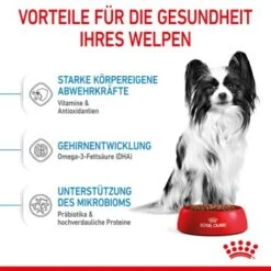 ROYAL CANIN X-Small Puppy 1,5 Kg 16 ROYAL CANIN X-Small Puppy 1,5 Kg -Ruffweal Verkaufe c1d69de51795c2f1ef8ed46862b710ee70fff790 3182550793636 4