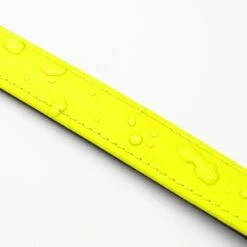 THE DOG IDEA Biothane Halsband Neongelb Schwarz XS -Ruffweal Verkaufe c1eff838c652b3399e3c2926b137c82f024d619f 1679167 de DE 2d8d96aecd52caa1ffcab84b390043089edd2830qhlI2F