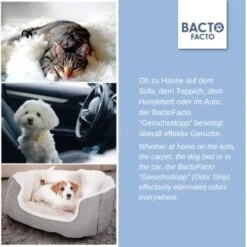 ChronoBalance BactoFacto Probiotischer Geruchsstopp Pads Für 2 Liter 20 Ml -Ruffweal Verkaufe c27e75fc226c89e592b2af9866887997e79057a8 1397549 de DE 11eaf103bff429178d8c79950fc83faf63345183BU6JEF