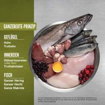 Orijen Senior 11,4 Kg – Bild 4