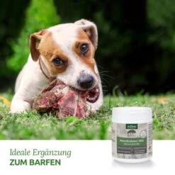 Aniforte BARF-Line Naturkräuter Mix 250g -Ruffweal Verkaufe c578d8ead8b853abfea2a82ca4591ace6b681e88 1477973 de DE f5c2f4103e3264129f0109b6cb84b47eaa0188a6cBLOvK