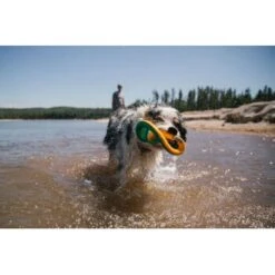 Ruffwear Hydro Plane™ Spielzeug L Blau/ Türkis -Ruffweal Verkaufe c85f56c174e45f26bb8b85eb8209e1187b03cb62 1364299 de DE 9aa31f36273b943af3517e0584e57ea49be3ad7aNQkaUi