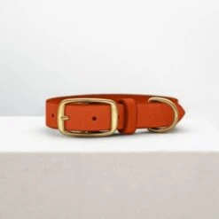 THE DOG IDEA Leder Halsband Orange M -Ruffweal Verkaufe c8786622c4ddb3c106babce32bff1fb4253e061b 1674196 de DE 714570c14a0e5bbdd38df31b81343bdc05cedccbKoLmZ8