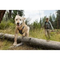 Ruffwear Brush Guard™ Geschirrzubehör S 20 Ruffwear Brush Guard™ Geschirrzubehör S -Ruffweal Verkaufe c88704a120b1ecbe10b5759d1532c5876bf02eec 1651427 de DE 6693c5b56ae972b6dab2ef2f40458870105d43f0wwSvBk