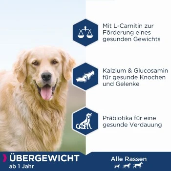 EUKANUBA Daily Care Übergewichtig, Kastriert 12 Kg 2 EUKANUBA Daily Care Übergewichtig, Kastriert 12 Kg – Bild 2