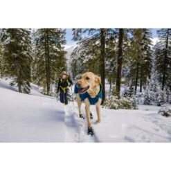 Ruffwear Confluence™ Halsband Blau/ Türkis L -Ruffweal Verkaufe c9a7569649ca21e62e97dc1f434002390de937ab 1651546 de DE 252f1b242105f77969f065b3c0f22015f808307dRm2FfW