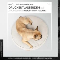 Freudentier Kuscheliges Hundebett Mit Memory Foam ⌀70cm -Ruffweal Verkaufe c9c4030e85a722db82e0d5d72315a764143d6976 1421322 de DE aba7659006e3379a4fae3776601c05e4e3385ae0Z6rso8