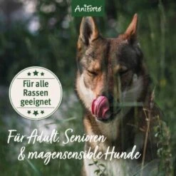 Aniforte Trockenfutter LandChicken - Zartes Huhn Mit Reis 2 Kg -Ruffweal Verkaufe ccdccba22db20132f6ff6d85dd45b1297bf8942a 1668916 de DE ab8d93a2aba26d4d3d9191665a57d8e6fecc366ahRURHR