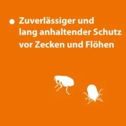 Ardap Spot-On Für Hunde M -Ruffweal Verkaufe ce2959b1e1be923f1af3be0cd5f5d2424ae41659 1150898 de DE 123c08947d68d259b6ba6ec3ce1852e52370e4d7CGAnSw