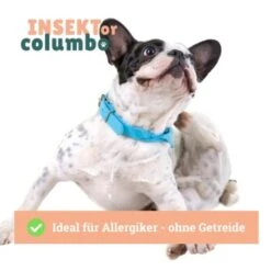 BeG Buddy Trockenfutter Insekten 10 Kg -Ruffweal Verkaufe cf116b07da699229c95db961fe6b3149884d17ce 1457249 de DE 4e178ddbc2b2fdbf0c31f82dc0c4f17ba0e1886aNH54ct