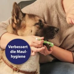 Canosept Zahnpflege-Set Für Hunde -Ruffweal Verkaufe d3527ed20311c26905cc21d326812cefdd56476d 1382706 de DE f1dd7678e896b8abfecbaf661ecaf238a0e628638erujn