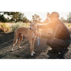 Ruffwear Web Reaction™ Halsband Blau S -Ruffweal Verkaufe d3a35049e9c877af4e809eacf99e8b70fd10e90d 1651469 de DE e4b26d10fc45962c6fa312f90366b5045e2c5f98pdXT30