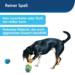 PetSafe Elektronisches Hundespielzeug Ricochet -Ruffweal Verkaufe d4449f153a2c132dbacdcffdb9e5bd1534d39124 1418724 de DE f83cfc689e8023f0b85b6eeadf79a2629df4d4f153I9wY